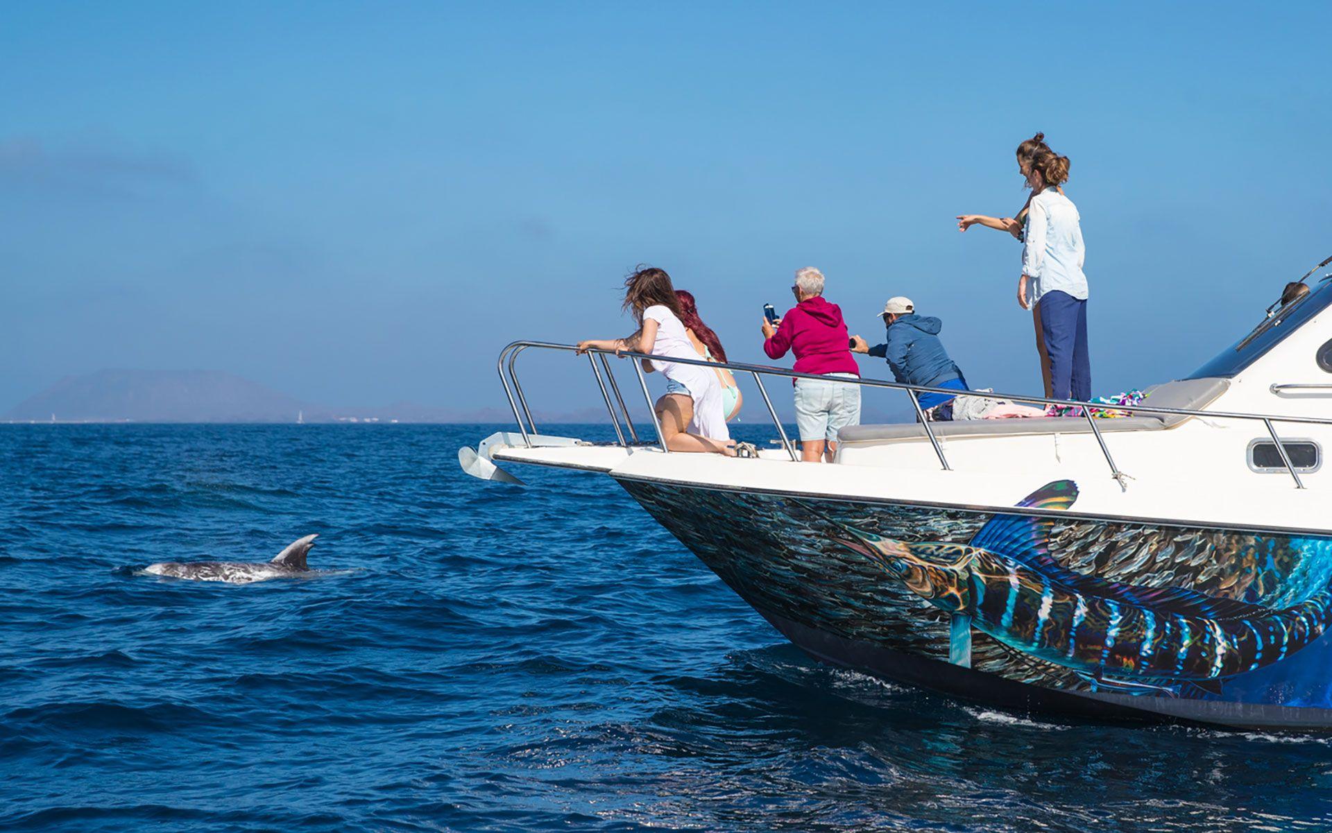 BJ Fishing dolphin watching Fuerteventura delfines 09 BJ Fishing dolphin watching Fuerteventura delfines 09
